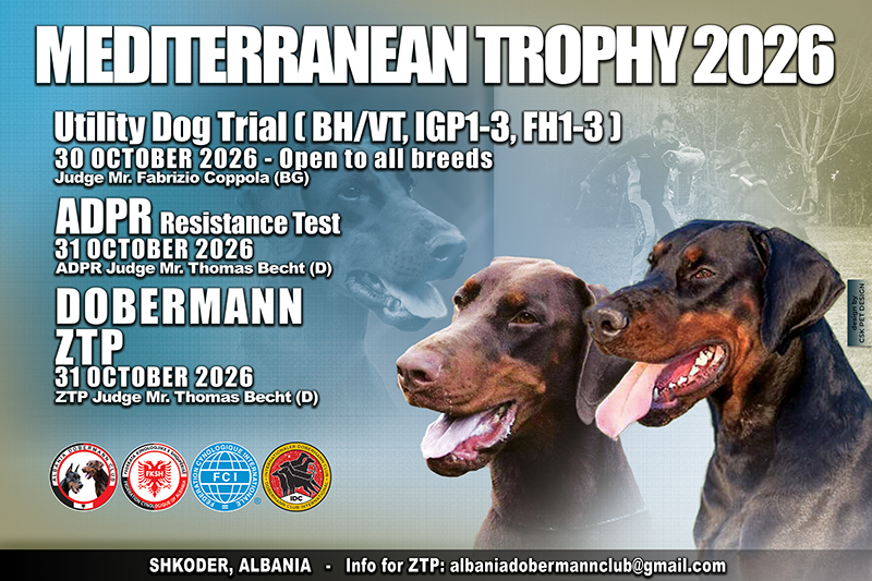UTILITY DOG TRIAL