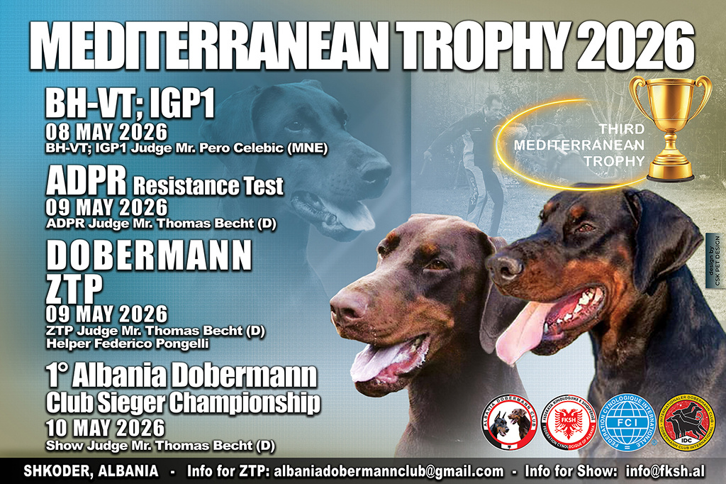 INTERNATIONAL <span>DOG</span> SHOW